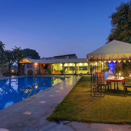 Treehouse Amaara A Boutique Hotel Jodhpur  Exterior foto