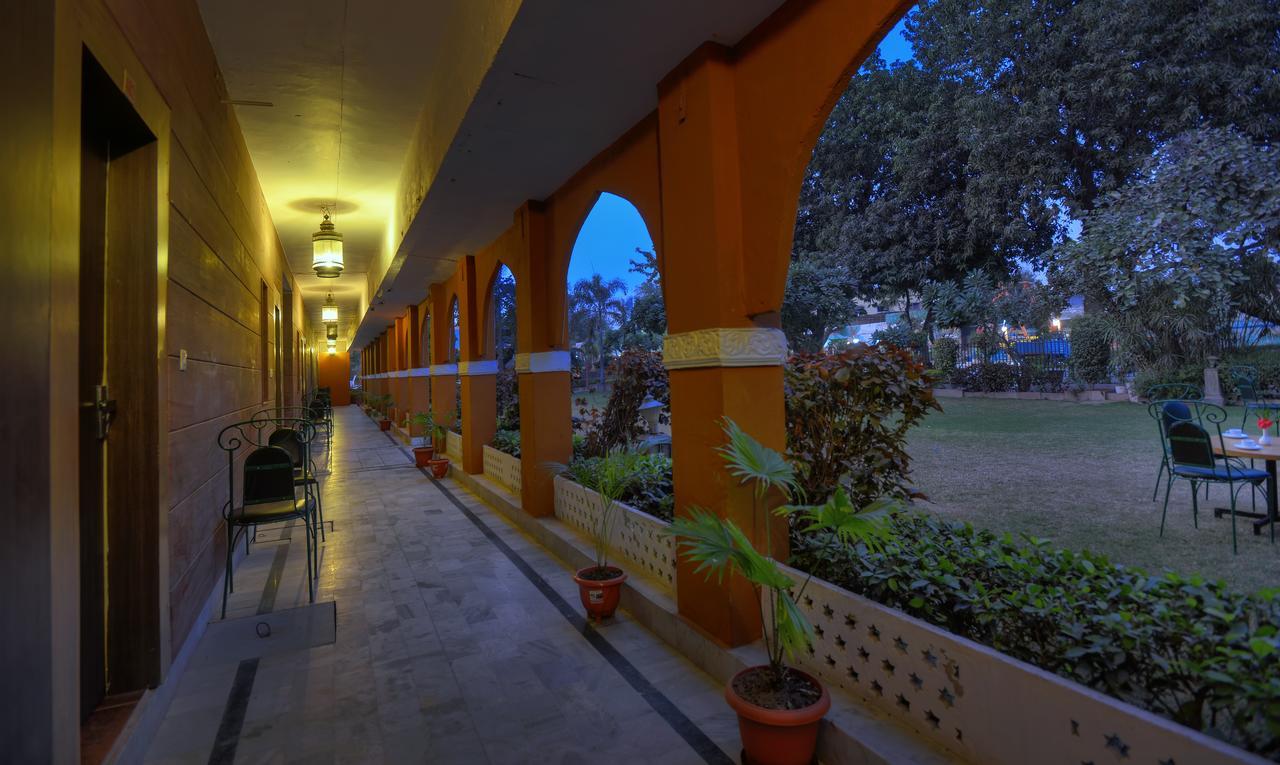 Treehouse Amaara A Boutique Hotel Jodhpur  Exterior foto